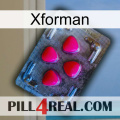 Xforman 13